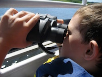 Bird Watching with Kids in Newburyport