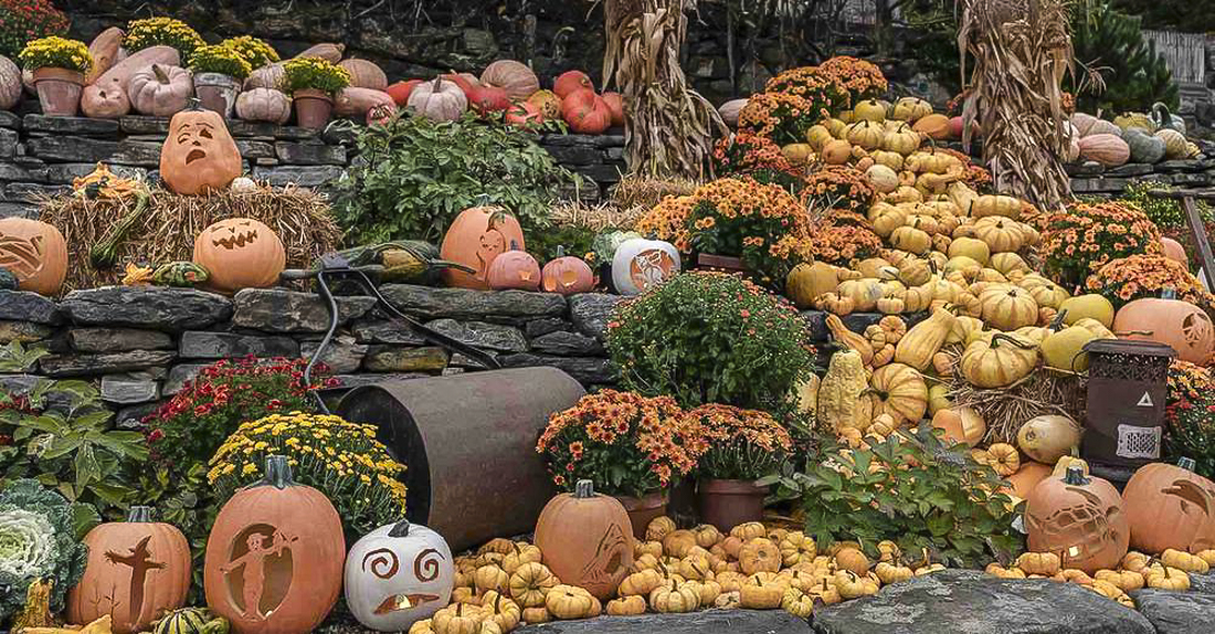 Get out to see the incredible Naumkeag Pumpkin Show this fall! Photo courtesy of the Trustees