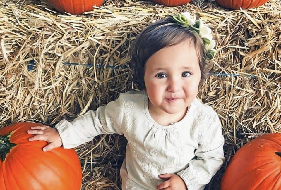 Best Pumpkin Patches Near Boston for Families in 2025 Take the kids out to pumpkin patches near Boston for family fun thus fall! Photo courtesy of Smolak Farm