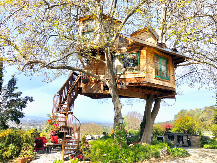 Things To Do in San Francisco With Kids: The San Jose Treehosue