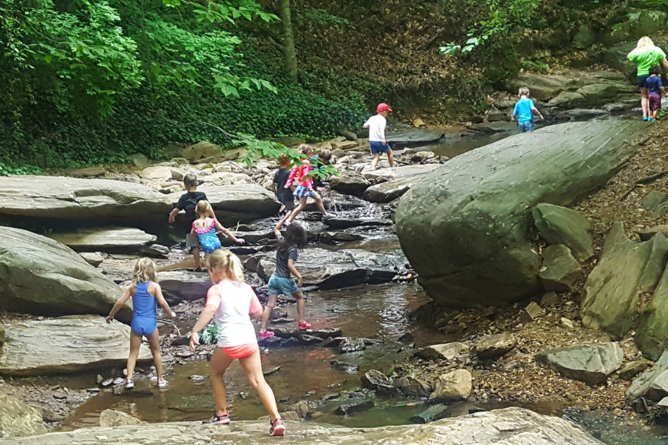 Dunwoody