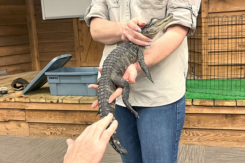 Okefenokee Swamp Park : Petting Zoos, Animal Farms, and Animal Sanctuaries Near Atlanta