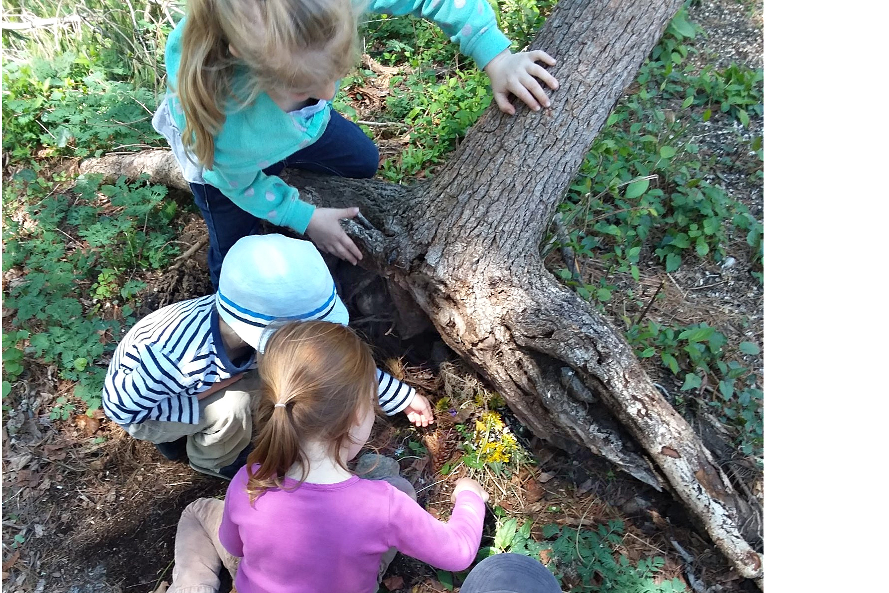 Get in touch with nature. Photo courtesy of Denison Pequotsepos Nature Center 