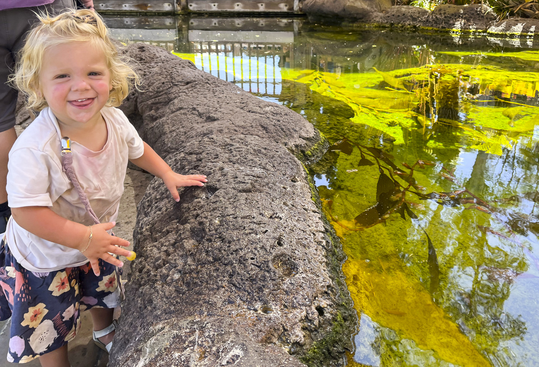 There are tide pools everywhere you look in San Diego! Photo by Kylie Williams