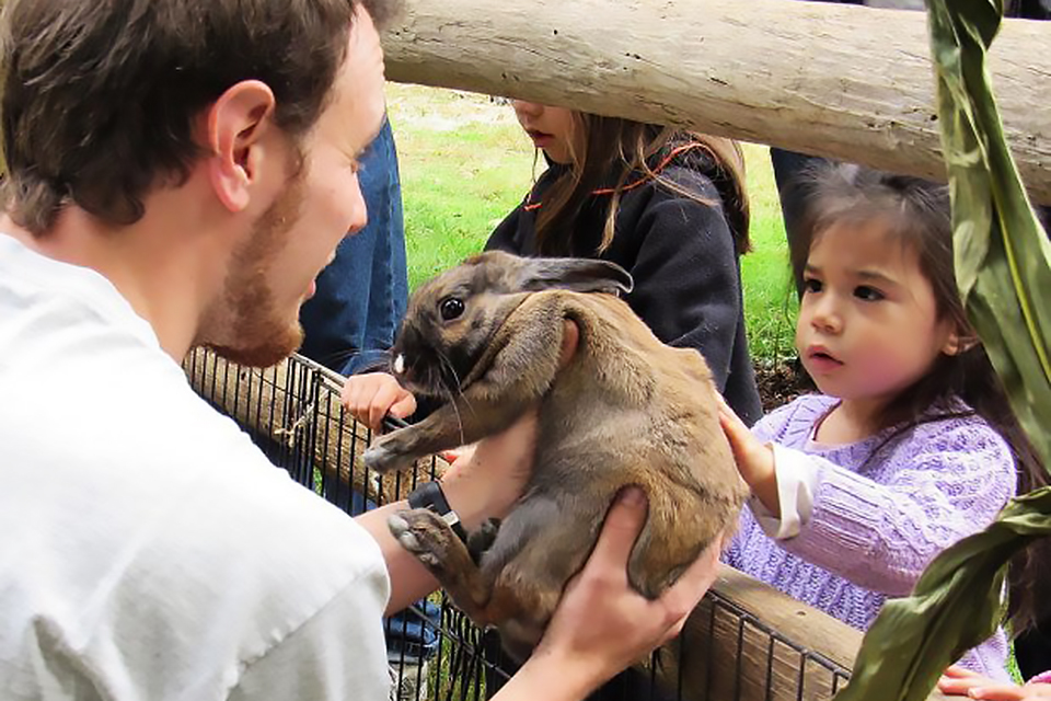 Best Animal Petting Zoos near Westchester and the Hudson Valley Where Kids Can Meet Animals Touch the soft rabbits at the Greenburgh Nature Center's petting zoo in Scarsdale. Photo courtesy of the center