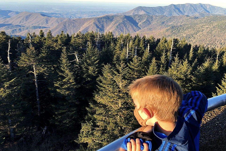 Climb to the highest point in Tennessee at Clingmans Dome in Great Smoky Mountains National Park.