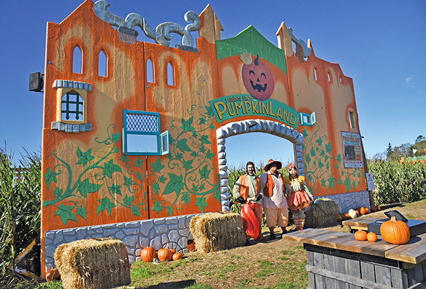 Pumpkin patches near Long Island Harbes Farm in Jamesport