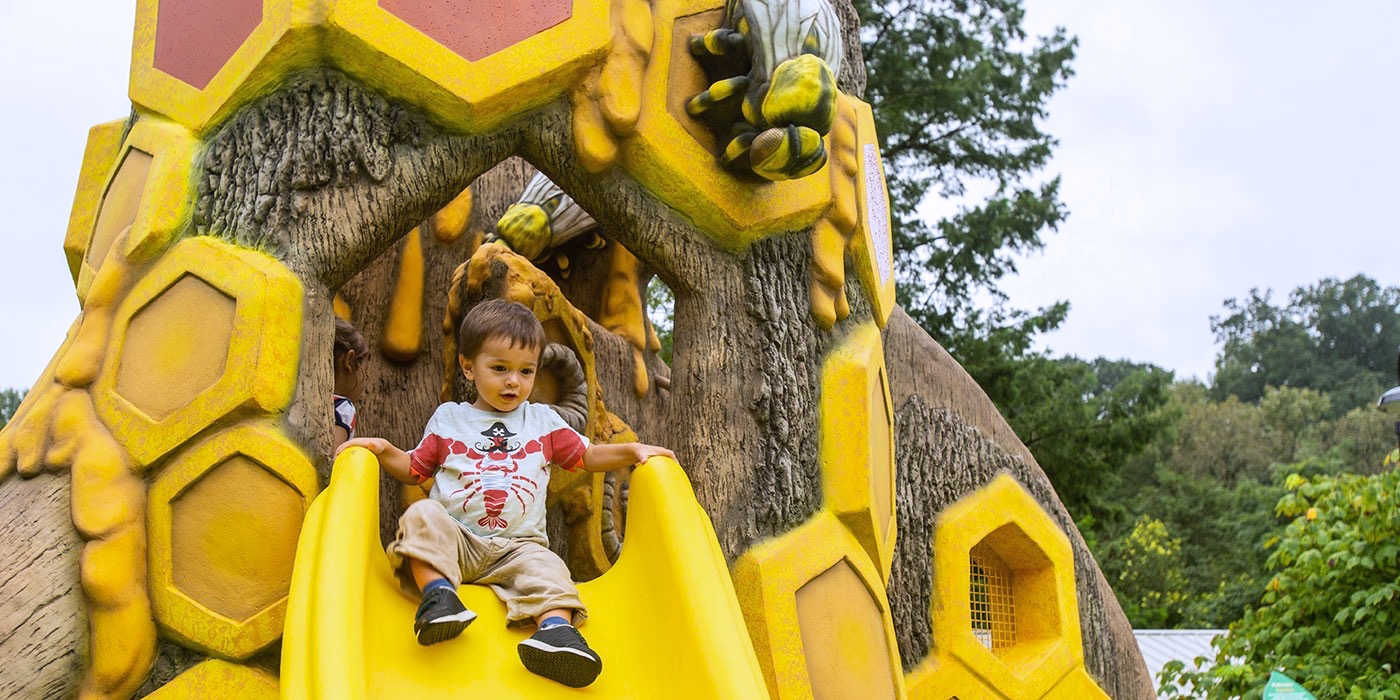 Buzz over to the Me and the Bee playground at the Smithsonian National Zoo. Photo courtesy of nationalzoo.si.edu  