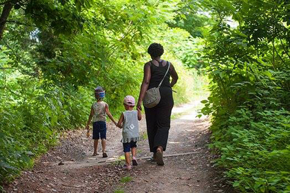 Things to do in NYC on a staycation: Wave Hill