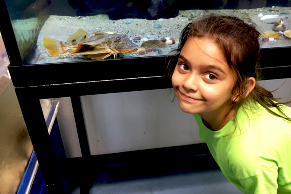 19 Free Things To Do Indoors in Westchester and the Hudson Valley: Indoor Places to Play Kids can peek into the marine life in the aquariums at the Marine Education Center in Mamaroneck. Photo by Susan Miele